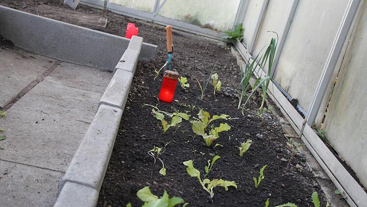 Grablichter sorgen für Wärme im Gewächshaus Foto: Dagmar Besand