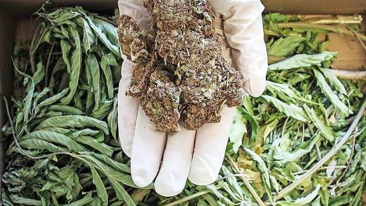 Der Mann hatte das Rauschgift von einem ehemaligen Arbeitskollegen und Kumpel in Berlin erworben und wollte es hier gewinnbringend weiterverkaufen.