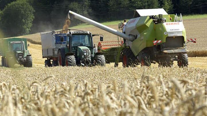 Die Maschinen, Mähdrescher und Traktoren der Landwirte sind stetig größer geworden. Doch bis sie auf den Felder angekommen sind, steht ihnen manch beschwerlicher Weg über die klein gewordene Flurwege bevor. Deshalb sollen jetzt Kernwege erfasst und ausgebaut werden. Foto: Arkadius Guzy