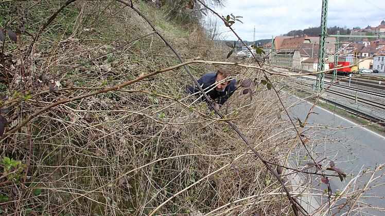 Kaum erkennen kann man die zweite Geschützstellung bei Voitländer.  Foto: Friedwald Schedel