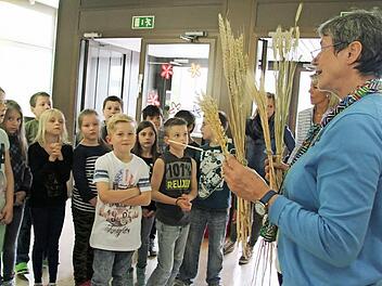 Bernadette Schilling erklärt den Schülern der Neuenmarkter Schule, wie man die Getreidesorten unterscheiden kann: Roggen hat beispielsweise eine Ähre mit kurzen Grannen, Gerste dagegen hat sehr lange Grannen - das ist leicht zu merken. Denn bei Gerste wird das G großgeschrieben, und das Korn hat besonders große Grannen. Fotos: Sonny Adam