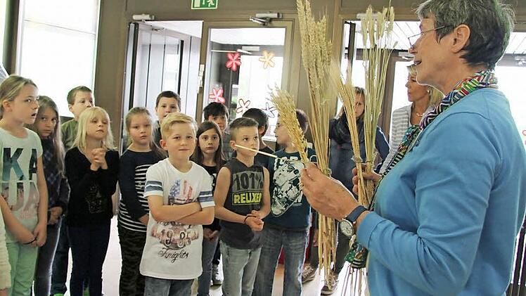 Bernadette Schilling erklärt den Schülern der Neuenmarkter Schule, wie man die Getreidesorten unterscheiden kann: Roggen hat beispielsweise eine Ähre mit kurzen Grannen, Gerste dagegen hat sehr lange Grannen - das ist leicht zu merken. Denn bei Gerste wird das G großgeschrieben, und das Korn hat besonders große Grannen. Fotos: Sonny Adam