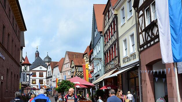 In Lohr haben die Senioren bei Stadtf&uuml;hrungen viel erfahren, ehe es mit dem Schiff nach W&uuml;rzburg ging.  Foto: Arthur Stollberger