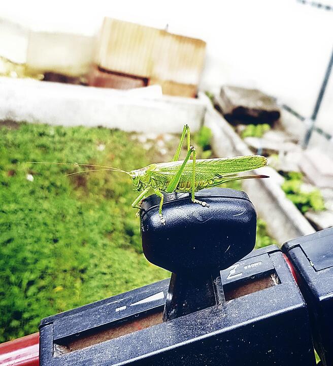 Die schönsten Sommerfotos aus Bayreuth und Umgebung