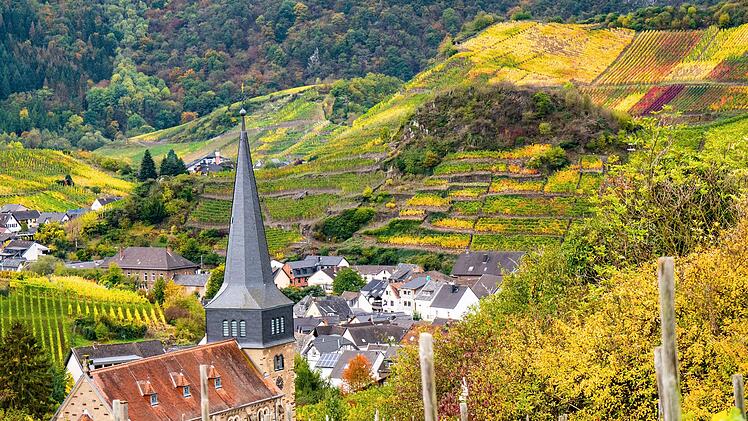 Beste Weinregionen Deutschlands: Diese 4 Regionen in Rheinland-Pfalz belegen Spitzenpositionen
