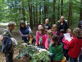Johanna liest den Stationsauftrag, während Wolfang, Laureen und Mia schonmal die Baumfrüchte und Zweige versuchen zu erkennen. Foto: Simone Berge