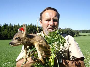Harald Höhn zeigt, wie Experten ein Rehkitz, das noch nicht selbst aus der Wiese laufen kann, fachgerecht befördern: Das Rehkitz darf nicht mit bloßen Händen angefasst werden, sondern mit Gras, damit es keinen Menschengeruch annimmt. Fotos: Sonny Adam