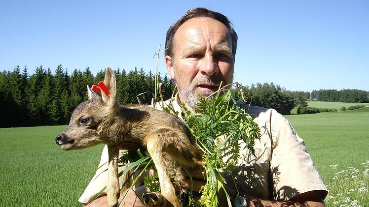 Harald Höhn zeigt, wie Experten ein Rehkitz, das noch nicht selbst aus der Wiese laufen kann, fachgerecht befördern: Das Rehkitz darf nicht mit bloßen Händen angefasst werden, sondern mit Gras, damit es keinen Menschengeruch annimmt. Fotos: Sonny Adam