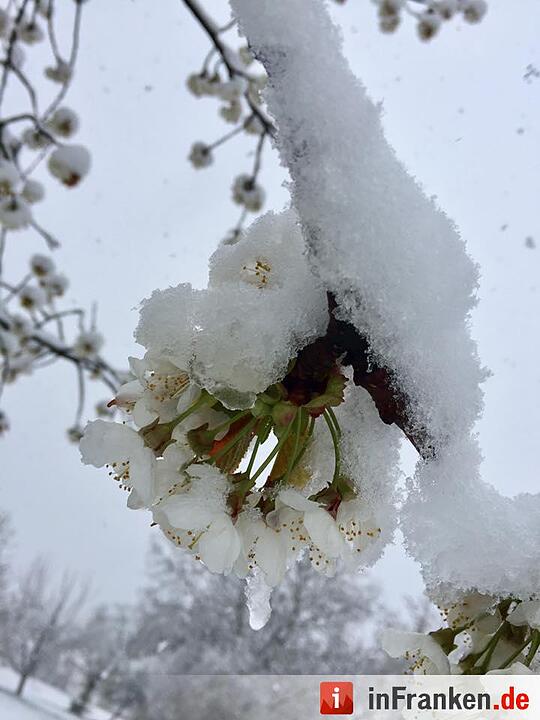 Franken: Ostermontag versinkt im Schnee