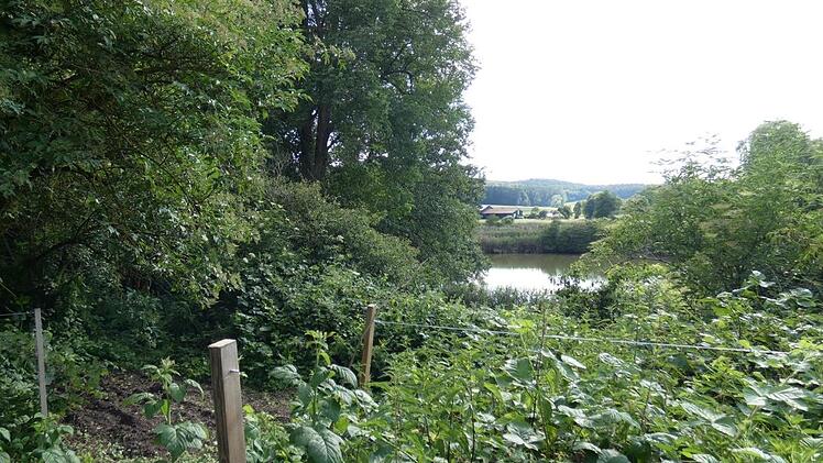 Im hinteren Teil des Gartens hat man einen sch&ouml;nen Ausblick auf den nahegelegenen Dorfteich.