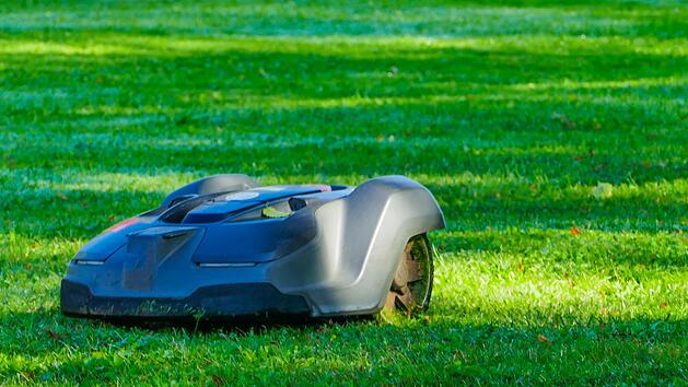 Garten, Gartenarbeit, Rasenmähroboter, Mähroboter, Rasen, Wiese, Gartenpflege, Pflege