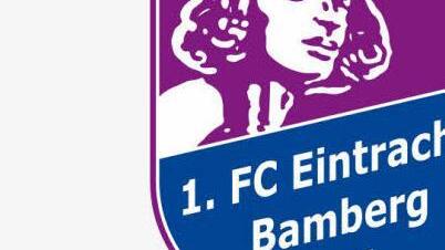 Am dritten Spieltag der Fußball-Regionalliga Bayern hat der FC Eintracht Bamberg 2010 am Freitag Abend sein Heimspiel gegen den FC Augsburg II verloren. Logo: Eintracht Bamberg