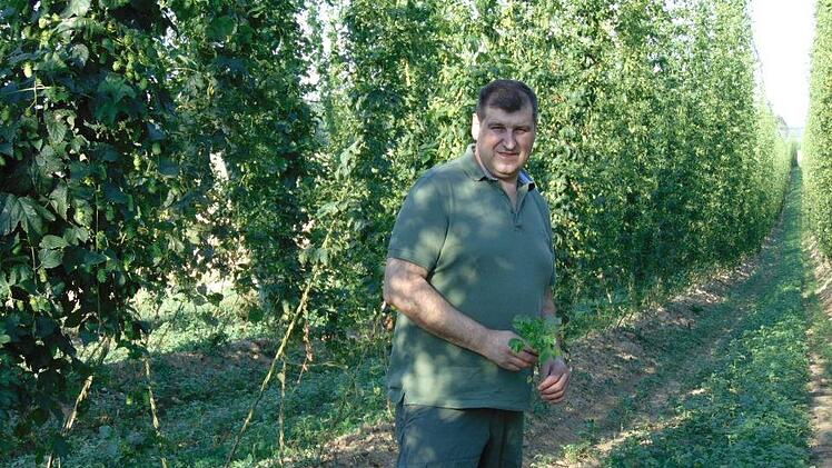 Jagdpächter Hans Derbfuß mit einem Ölrettich, der zwischen Hopfenreihen angesät ist.  Der Ölrettich bietet Futter und zugleich Feuchtigkeit. Foto: Petra Malbrich