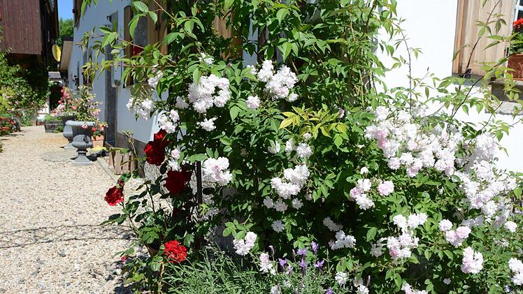 Impressionen aus dem Garten Michaelis in Schirradorf Foto: Dagmar Besand
