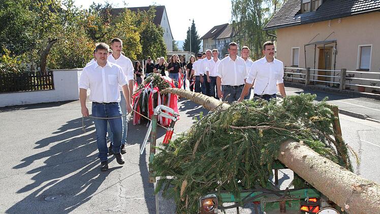 Der Neuseser Kerwabaum war 26 Meter hoch.