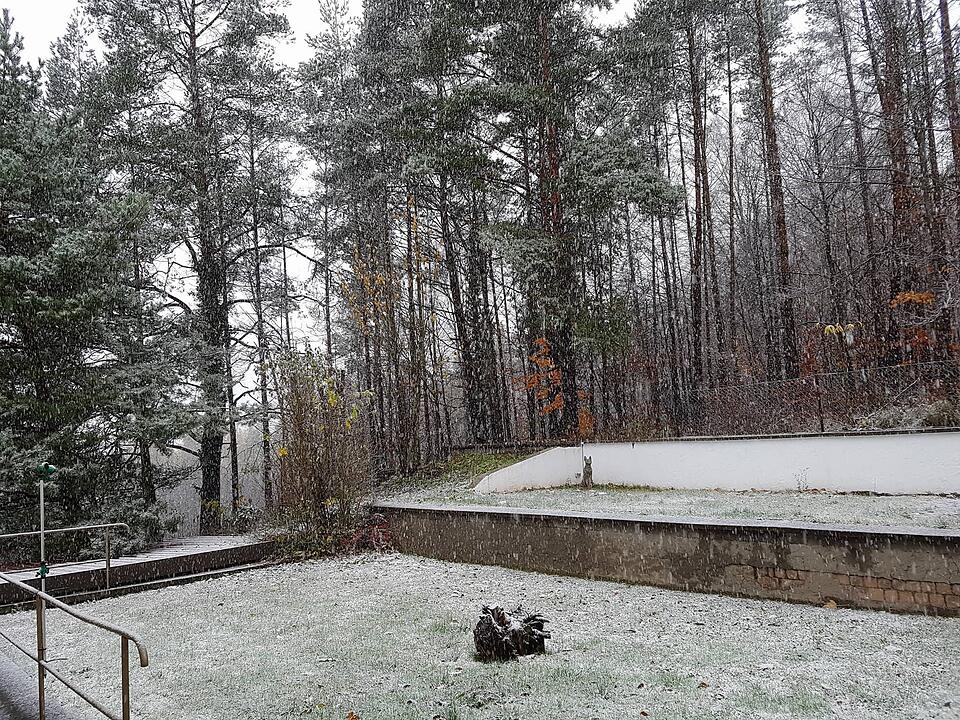 Leserbilder: Der erste Schnee in Franken