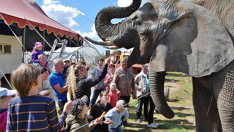 Die Elefanten kannten keine Scheu und ließen sich von Groß und Klein gerne füttern. Foto: Sigismund von Dobschütz