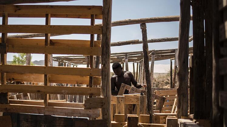 In einem Camp in der Provinz Almería bauen Migranten Unterkünfte aus Paletten und hoffen, auf den Plantagen Arbeit zu finden.  Foto: Javier Fergo/dpa