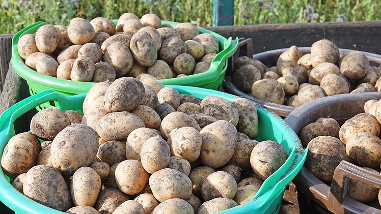 Die Ernte konnte damals mehrere Wochen dauern.