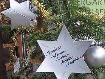 Anstelle einer Weihnachtsfeier gestalteten heuer die Kinder und ihre Betreuerinnen des Kindergartens Nordhalben einen "Wunschbaum".  Fotos: Kindergarten Nordhalben