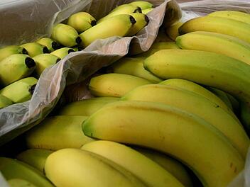 So lieben wir sie: pralle gelbe Bananen. Und bei den Bananen im Einkaufsmarkt lässt es sich prächtig ratschen - wenn man Zeit hat. Foto: Angelika Warmuth/dpa