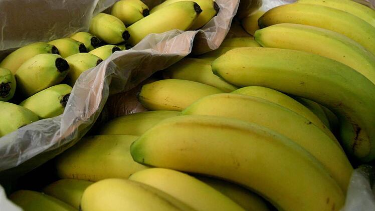 So lieben wir sie: pralle gelbe Bananen. Und bei den Bananen im Einkaufsmarkt lässt es sich prächtig ratschen - wenn man Zeit hat. Foto: Angelika Warmuth/dpa