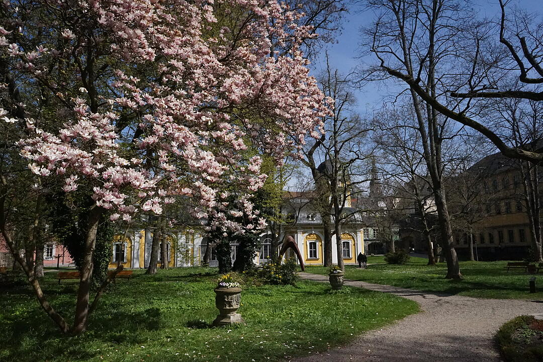Blühendes Würzburg