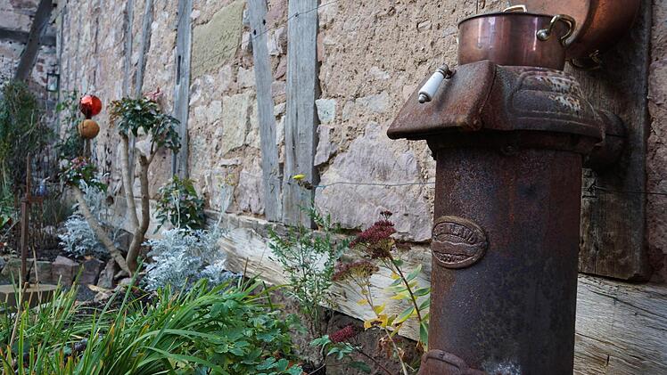 Im GartenFoto: Arkadius Guzy