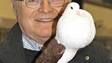 Hans Stübinger weiß, wie er das Geschlecht seiner Tauben unterscheiden kann.  Foto: privat