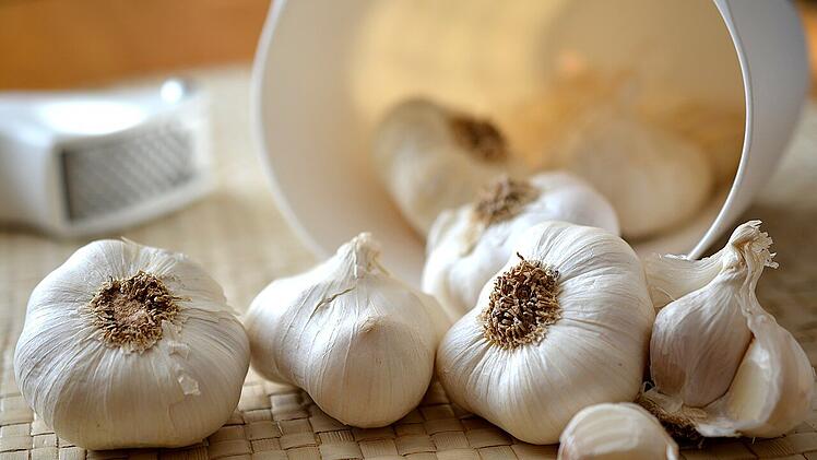 Knoblauch