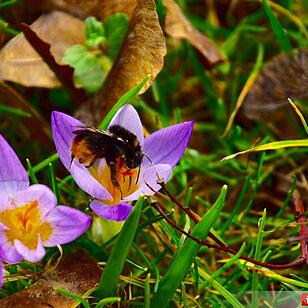 Der Frühling in Franken in Bildern