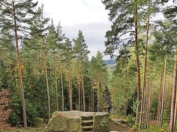 Standort der Jäger oder Platz für ein Picknick? Was sich schon alles am Wildmeisterstein abspielte, lässt sich nur vermuten. Ein reizvolles Wanderziel ist er allemal. Foto: privat