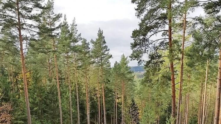 Standort der Jäger oder Platz für ein Picknick? Was sich schon alles am Wildmeisterstein abspielte, lässt sich nur vermuten. Ein reizvolles Wanderziel ist er allemal. Foto: privat