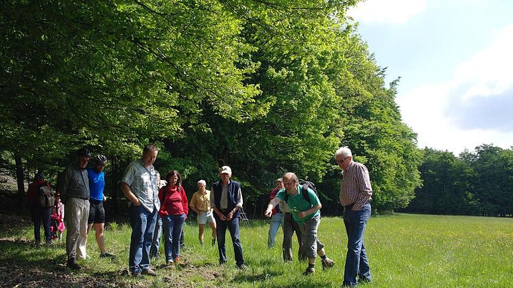 Auch auf mageren Wiesen "Am Bornhag" finden sich viele - teils seltene - Pflanzen. Foto: Stephanie Elm