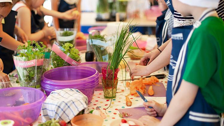 In Nürnberg gibt es einige Angebote für Kinderkochkurse. Sowohl für die Kleinen als auch für die Erwachsenen haben die Kurse ihren Reiz. Symbolfoto: Andrzej Rembowski / Pixabay
