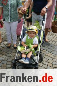 Das Zeiler Weinfest 2016 in Bildern