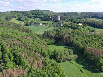 Die Fichten, die sich rotbraun verfärbt haben, sind vom Borkenkäfer befallen. Die Fichten gehören neben den Kiefern, Buchen und Eichen zu den Hauptbaumarten der Region. Foto: Jörg Ermert