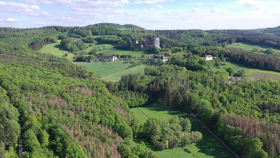 Die Fichten, die sich rotbraun verfärbt haben, sind vom Borkenkäfer befallen. Die Fichten gehören neben den Kiefern, Buchen und Eichen zu den Hauptbaumarten der Region. Foto: Jörg Ermert