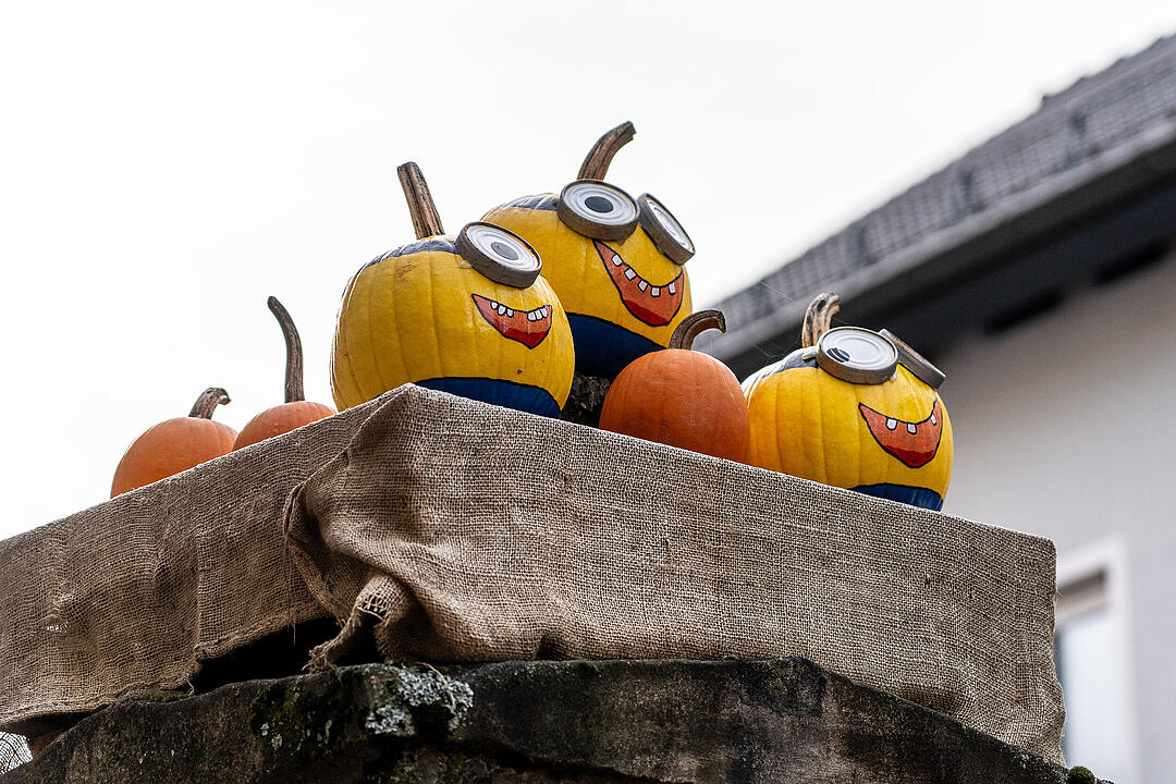 Tausende Besucher aus nah und fern kamen zum Herbstmarkt.