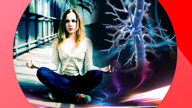 Der Hauptnerv, der die Kommunikation zwischen Hirn und Körper gewährleistet, spielt eine zentrale Rolle bei der Regeneration.