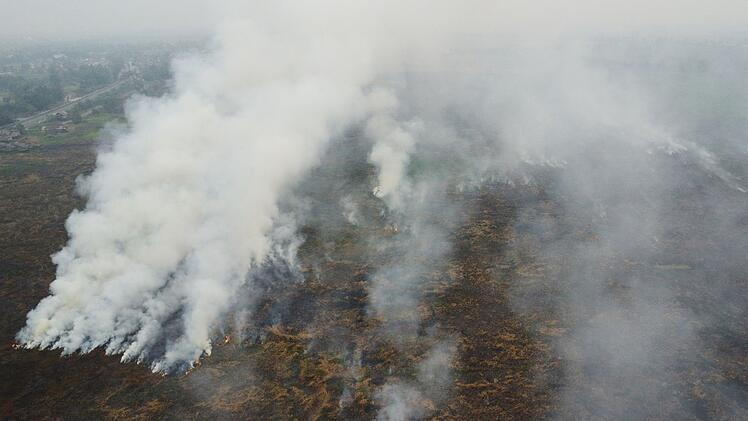 Waldbr&auml;nde in Indonesien