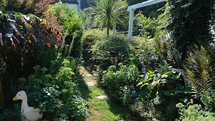 Der Traumgarten der Familie Müller in Kulmbach-Ziegelhütten.  Foto: Dagmar Besand