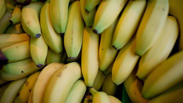 Kokain in Bananenkisten entdeckt: Teilweise schon in den Supermarkt geliefert