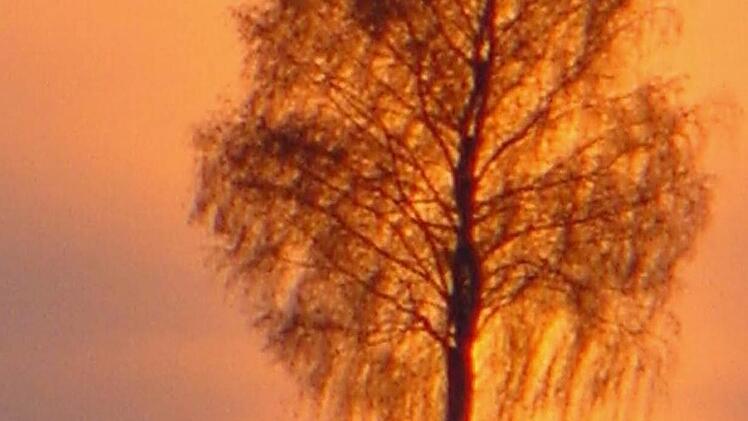 Solche malerischen Bilder entstehen nur, wenn das Wetter Kapriolen schlägt. Foto: Gerhard Schmidt