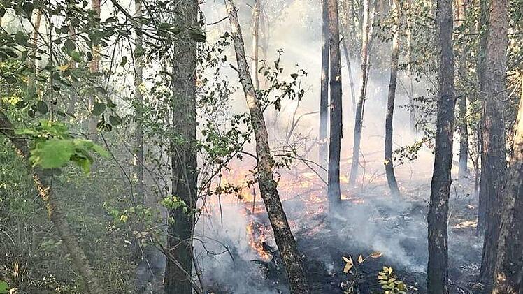Vor allem am Boden und bis in drei Metern Höhe schlugen die Flammen im Wald bei Staffelbach zu. Foto: FFW Oberhaid
