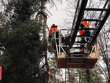 In Bubenreuth musste die Feuerwehr wegen Sturmsch&auml;den entlang eines beliebten Spazierweges ausr&uuml;cken.