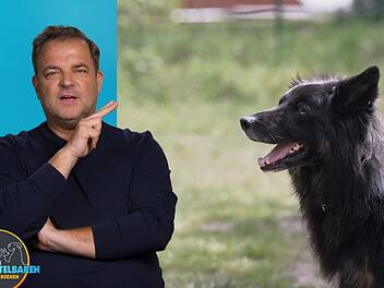 Martin R&uuml;tter hat Hoffnung: Es gibt einen Interessenten f&uuml;r H&uuml;tehund-Mix Jimmy.