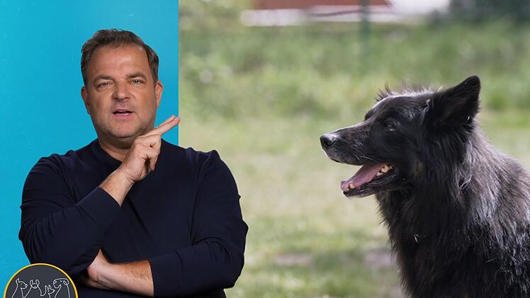Martin R&uuml;tter hat Hoffnung: Es gibt einen Interessenten f&uuml;r H&uuml;tehund-Mix Jimmy.