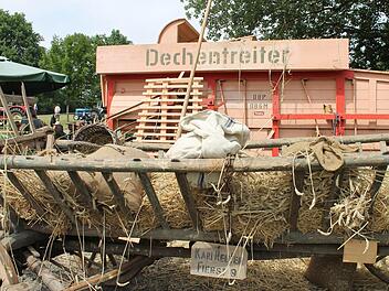 Nach der Dreschvorführung waren nur noch einzelne Getreidehalme übrig, die sich vor der Dreschmaschine gedrückt haben.