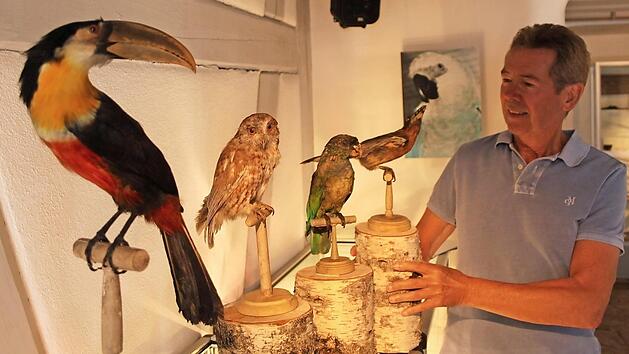Herbert Fiederling ist stolz, zur Kulturmeile die vier von dem H&ouml;chstadter Naturforscher Ritter von Spix vor 200 Jahren aus Brasilien mitgebrachten V&ouml;gel im Spix-Museum zeigen zu k&ouml;nnen.  Foto: Andreas Dorsch